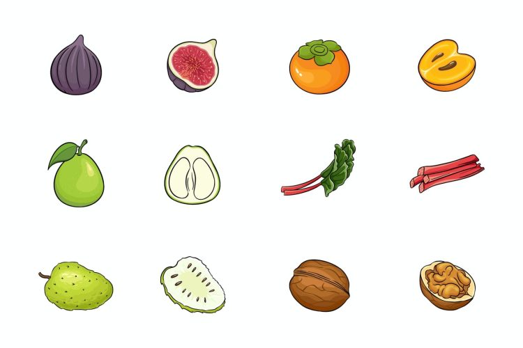 12 Fruit Icons