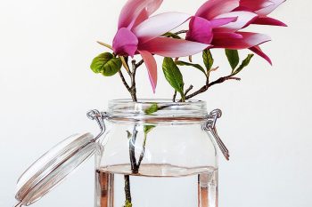 Clean free photo